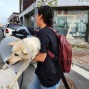 주앤동물병원 이미지