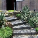 논두렁추어탕, 흑염소 이미지