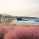 덕풍근린공원 제3공영주차장 B1층 | 경기 시흥 갯골 생태공원 :: 공원 내 카페, 음식점, 핑크뮬리 명소 포토존 정보