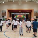 안동서부초등학교 이미지