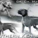 메이데이 이미지