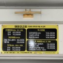 프린세스 캣 이미지