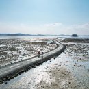 [자박자박 소읍탐방]＜182＞ 서산 대산읍·지곡면 가로림만 이미지