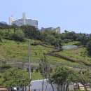 석양을 품은 물고기 이미지