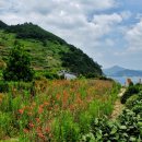 가천다랭이마을 이미지