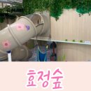 효정숲