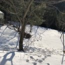 차항1리 마을회관 이미지