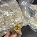 숨은진주 | ep.7 기대가득한 2026년의 시작 💗