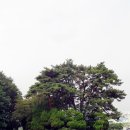 인천적십자병원 이미지