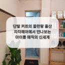 차차살롱 - 용인시 처인구 | 차차살롱