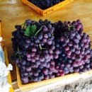 길목농장 이미지