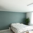 베드로슈퍼 이미지