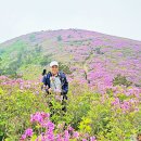 보성강5 Daum카페