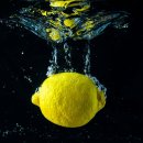 레몬의 꿈 이미지