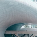 DDP 이미지