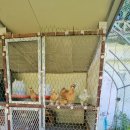 활옥동굴 호수펜션 이미지