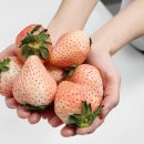 주식회사퍼밋 이미지