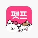 펫 프렌즈 이미지