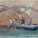 금강산자연사박물관(휴관) | [호주 글로벌첼린지] #2 시드니 천문대 | Power house museum | 자연사 박물관 20070201-0211 0202