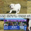 써클켄넬 이미지