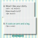 느낌it개 이미지