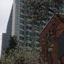 대한행정사사무소 新대륙 | 서울시 `메타버스 서울`사전 체험공간 오픈, MIT에서도 발표