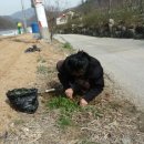 필돌농장 이미지