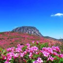 한라산마루