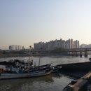 꽃게천국
