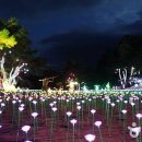 단양-단양-03 이미지