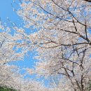 (주)더블유렌트카 이미지