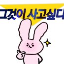 미스터워시