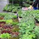 도일시장4 이미지