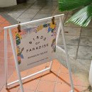 PARADISE | 싱가포르 젤라또 맛집 추천 Birds of Paradise Beach Road 후기