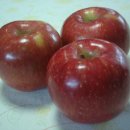 늘해랑농원 이미지