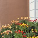 (주)지티텍(칠성지점) | [일상] 효또 부부 집들이 겸 대구여행 (1탄)