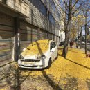 강동-길동-1503 이미지