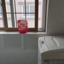 산호제일약국 이미지