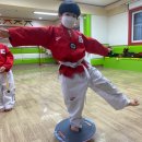 해빛태권도장 이미지