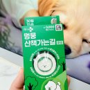 헬로펫 | [리뷰]다이소 강아지 해충방지클립 헬로마이펫 멍뭉 산책가는길 필수템 후기