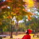 피크닉장 이미지