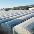 더 그랜드 섬오름 이미지