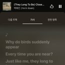 배스킨라빈스죽전꽃메