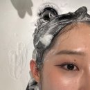 [아주대 미용실] 모던헤어살롱: 시세이도 솔루션 클리닉 받은 후기