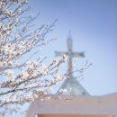 마을호텔 쉐가 이미지