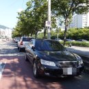 달서천변 이미지