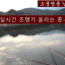 남원 수송제 소풍 짬풍 이미지