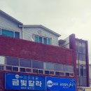 금빛칼라 이미지