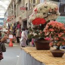 충주자유시장 이미지