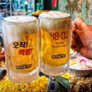 하노이맥주밤거리 부천역곡점 | 베트남 감성 뿜뿜! 하노이맥주밤거리 역곡점 인기 안주+꿀팁 공개